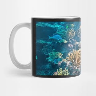 Aquarium. Xcaret Eco Park. Mexico Mug